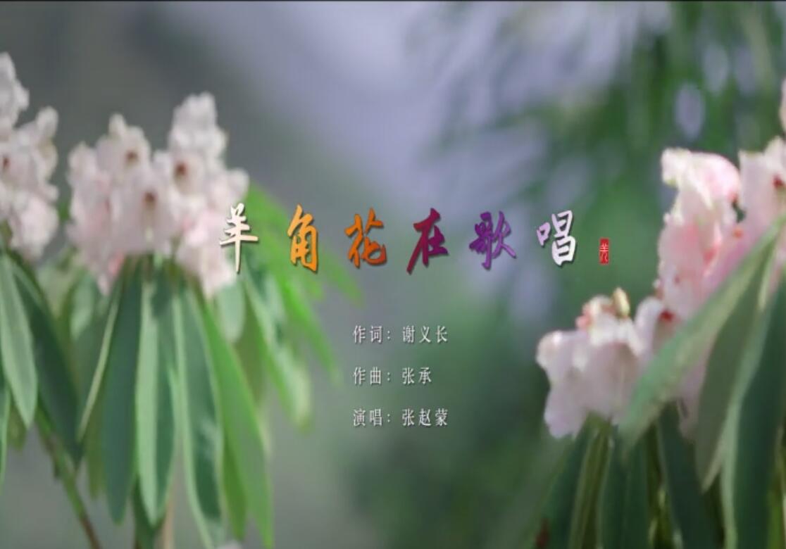 QQ截图20231013171634.jpg